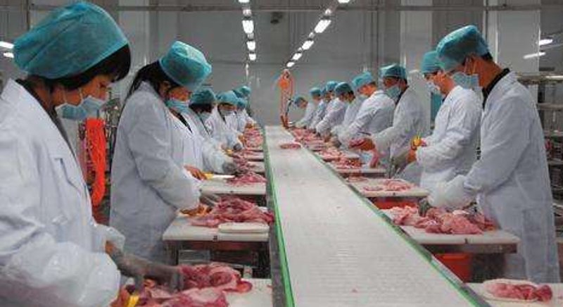 如何选择可靠的食品供应商？